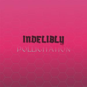 อัลบัม Indelibly Pollicitation ศิลปิน Various