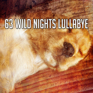 Dengarkan Focus on Sleeping lagu dari Bedtime Baby dengan lirik