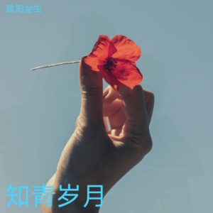 Listen to 知青岁月 (完整版) song with lyrics from 欧阳全生