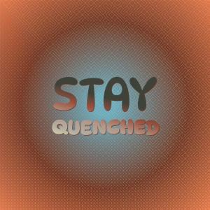 อัลบัม Stay Quenched ศิลปิน Various