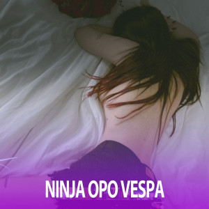 DJinaja的专辑DJ NINJA OPO VESPA - Nella Kharisma FULL BASS