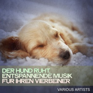 Various Artists的專輯Der Hund Ruht, Entspannende Musik Für Ihren Vierbeiner
