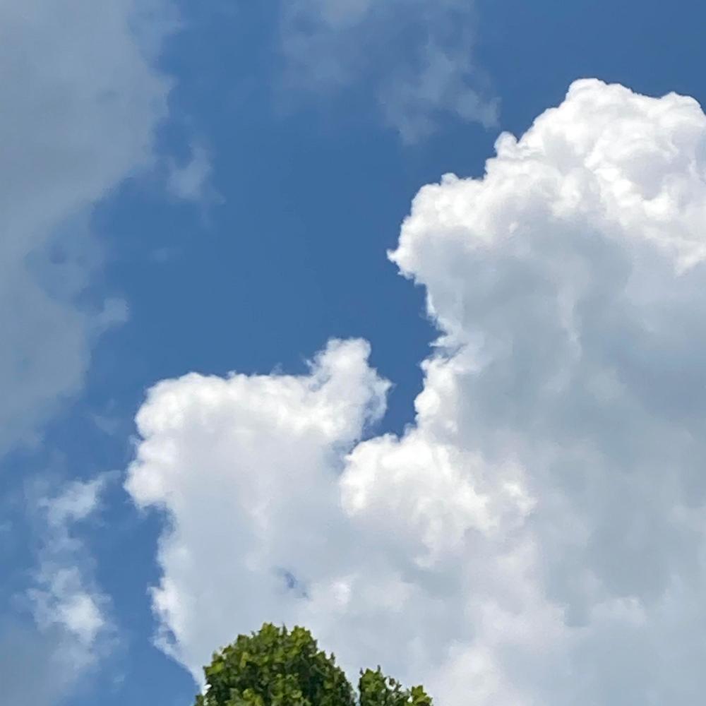 cold dark clouds