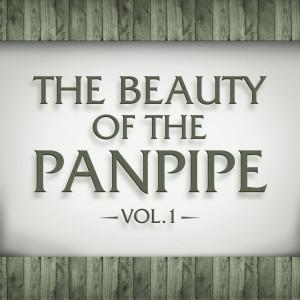 Album The Beauty of the Panpipe  Vol. 1 from The Panned Pipers