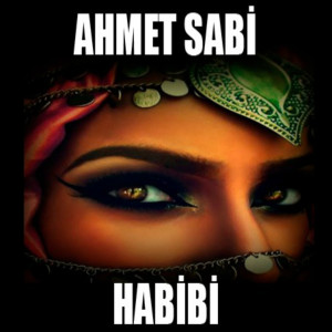 收聽Ahmet Sabi的Yalla歌詞歌曲