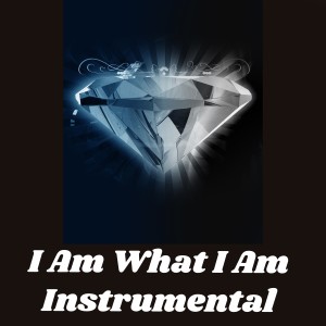 Joel Diamond的專輯I Am What I Am Instrumental
