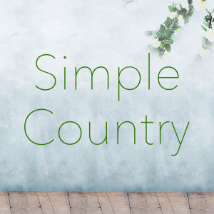 Dengarkan Wearing Of The Green lagu dari Macs Irish Players dengan lirik