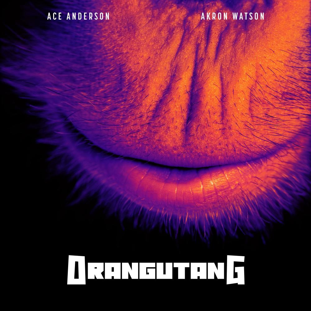 Orangutang (feat. Akron Watson) (Explicit)