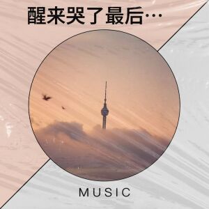 收聽雪羽的醒來哭了最後還給誰歌詞歌曲