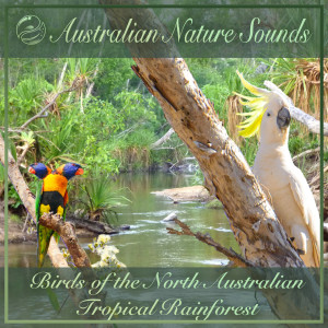 Album Birds of the North Australian Tropical Rainforest from Australian Nature Sounds