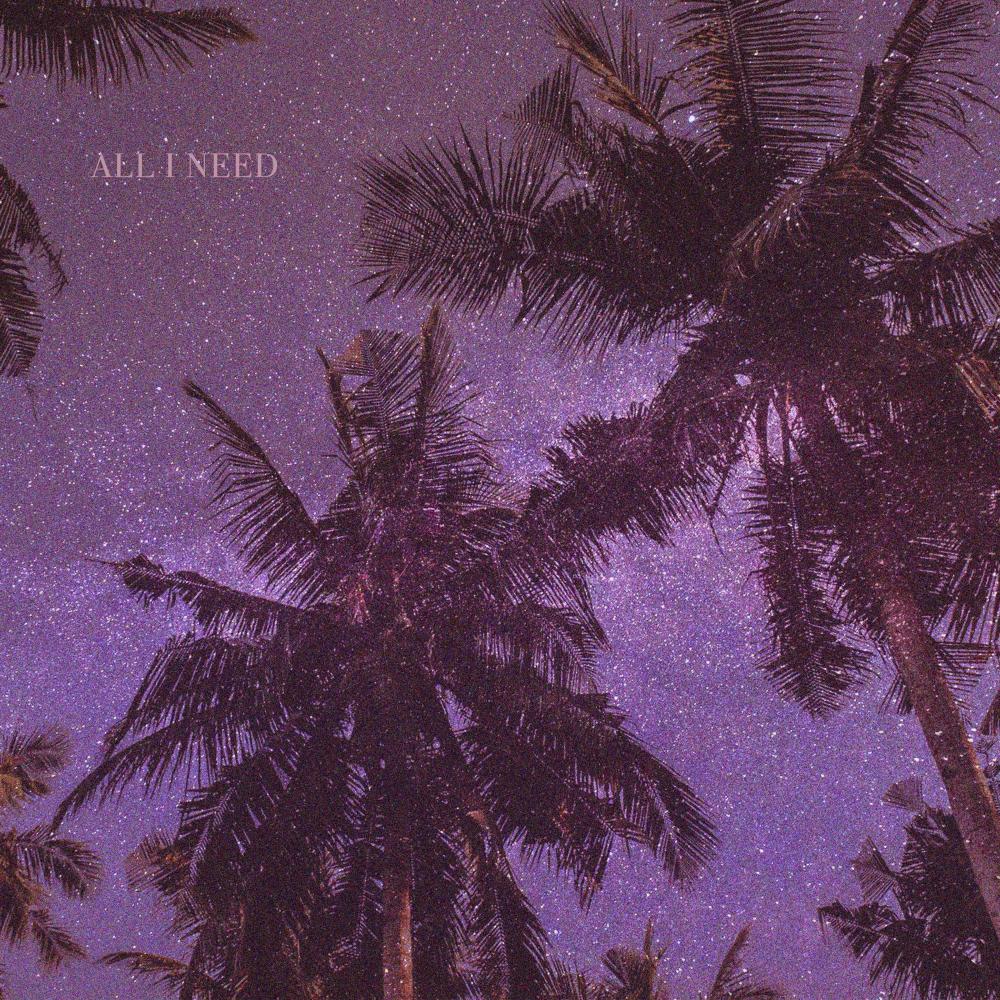All I Need (feat. Xander Ray, Robb & Zumi Records Productions) (sped up)