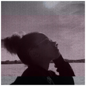 Album Pride Rock (Explicit) from Opynmic