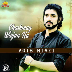 Listen to Chashmay Winjan Ha song with lyrics from Aqib Niazi