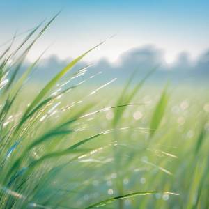 ดาวน์โหลดและฟังเพลง Celestial Soliloquy พร้อมเนื้อเพลงจาก Guilherme Lacerda