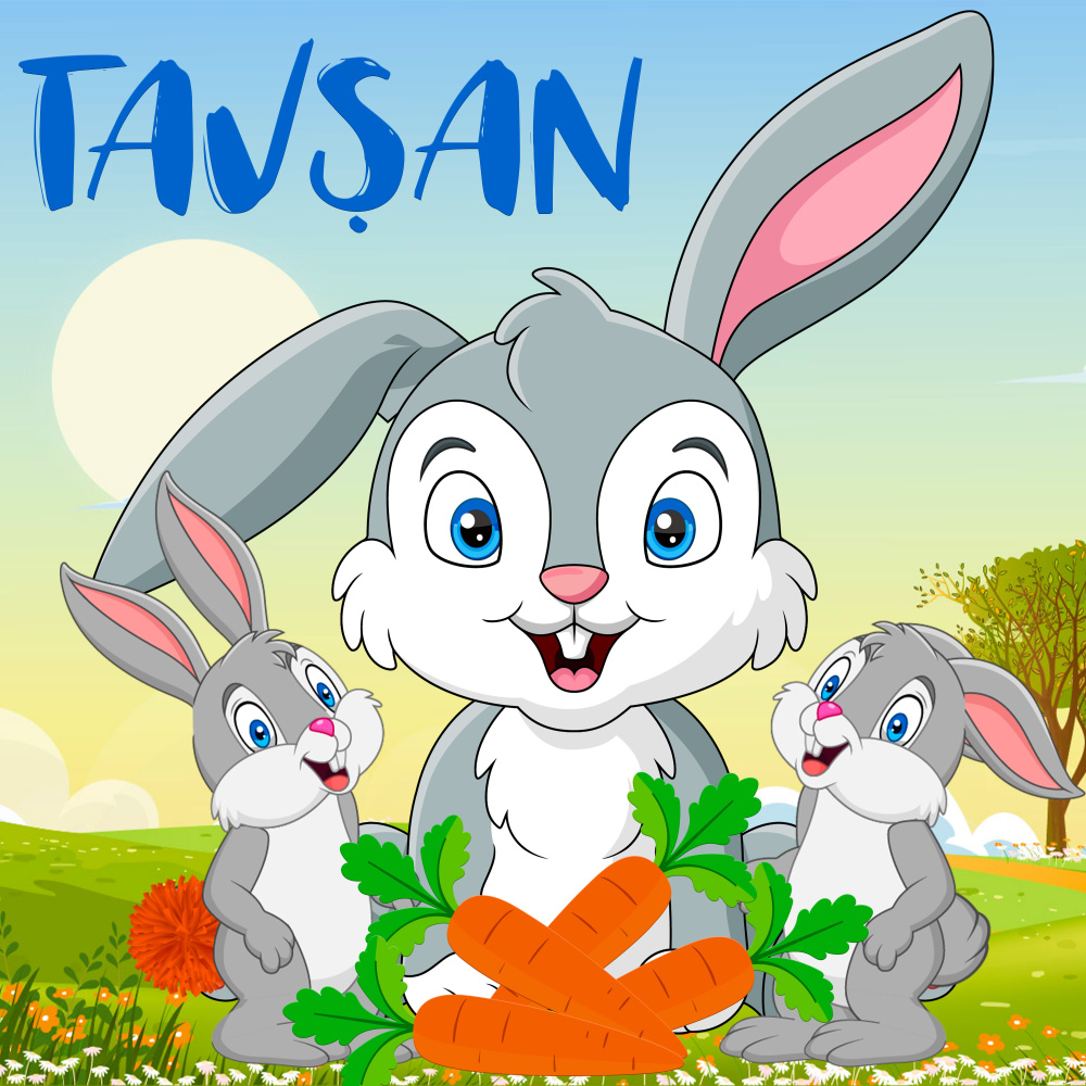 Tavşan