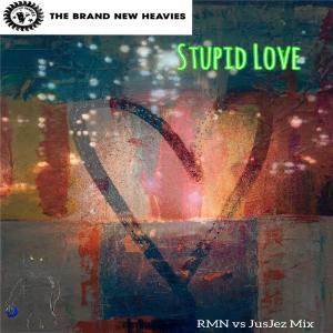 收聽The Brand New Heavies的Stupid Love (RMN & JusJez Remix)歌詞歌曲