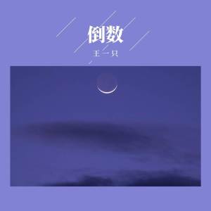 Album 倒数 (窒息版) oleh 王一只