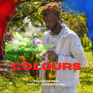 Album COLOURS (Explicit) from TrinkX