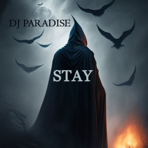 Album Stay from DJ Paradise