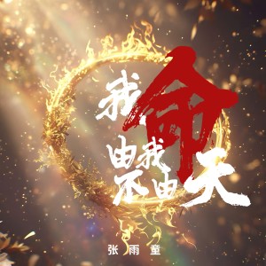 Listen to 我命由我不由天 (完整版) song with lyrics from 张雨童