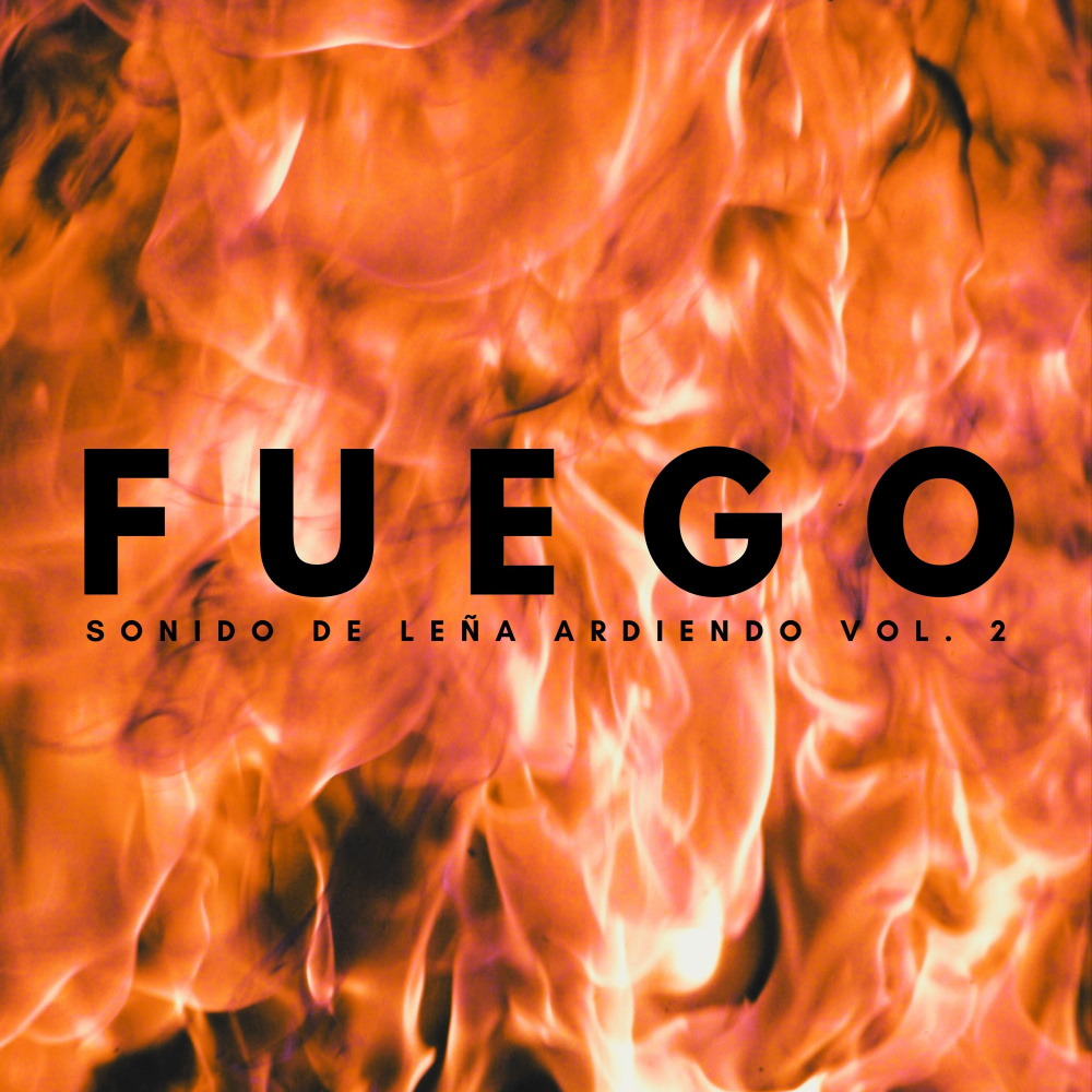 Concentración Por Sonidos De Fuego
