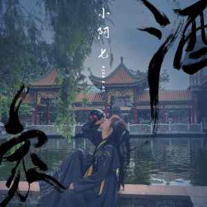 Album 酒家(DJ铁柱版) from 小阿七