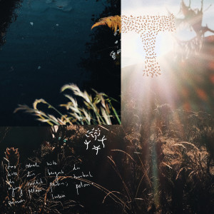 Listen to Runtuh, Tumbuh song with lyrics from Reruntuh