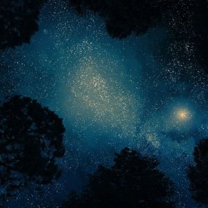 收聽Sounds of Nature Relaxation的Awaken歌詞歌曲