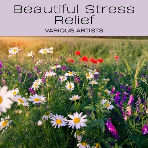 Listen to All About Nature for Yoga song with lyrics from Wavezze