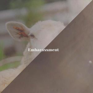 Various的专辑Embarassment
