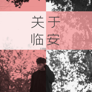 Listen to 关于临安 song with lyrics from 王贺俊