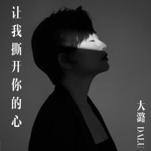 Album 让我撕开你的心 from 大潞