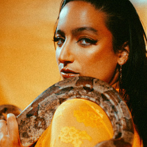 收聽Frankie Simone的Revolución歌詞歌曲