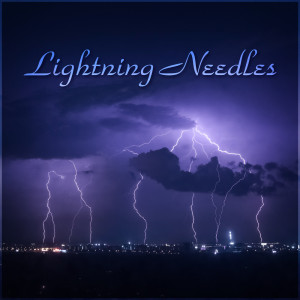 Dengarkan lagu The Needle and the Damage Done nyanyian jordan x dengan lirik