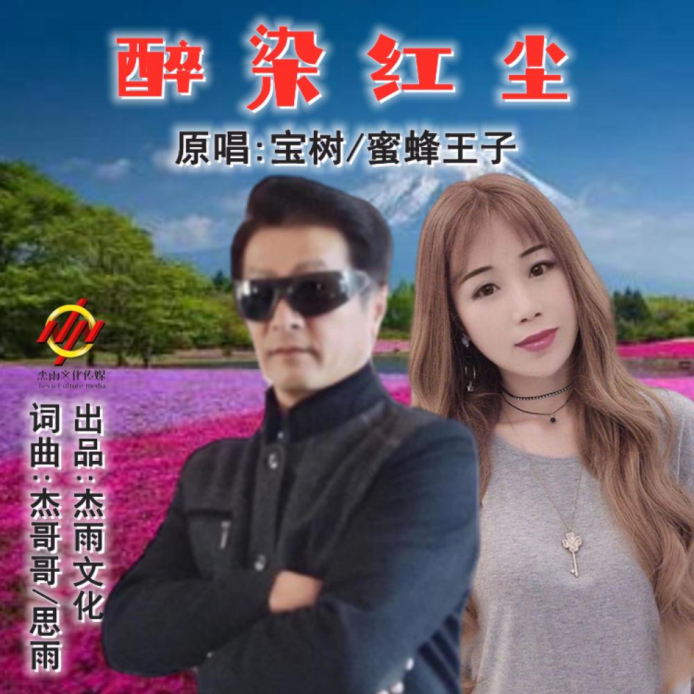 醉染红尘(缺男声) (伴奏)