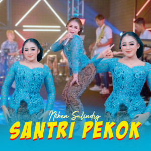 Dengarkan lagu Santri Pekok nyanyian Niken Salindry dengan lirik