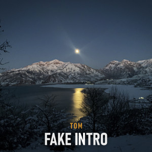 Album Fake (Intro) from Tom