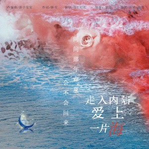 Album 走入内陆爱上一片海 from 驿书