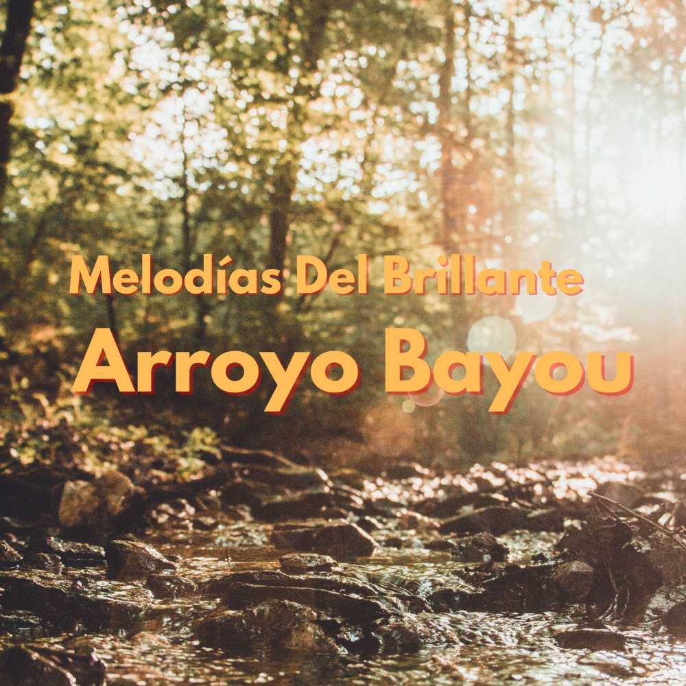 Arroyo Lento De Montaña