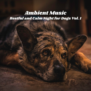 Chill My Pooch的专辑Ambient Music: Restful and Calm Night for Dogs Vol. 1