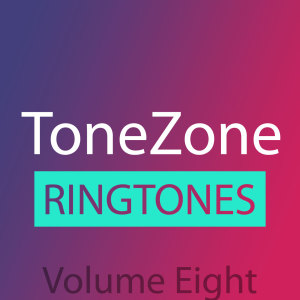 Album Tonezone Volume Eight from Sunfly Karaoke