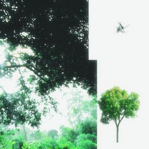 收聽.Gav的comely歌詞歌曲