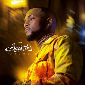 Dengarkan lagu Ça joue nyanyian Says'z dengan lirik