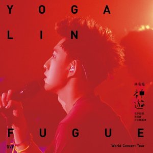 Listen to WoAiDeRen (Live) song with lyrics from Yoga Lin (林宥嘉)