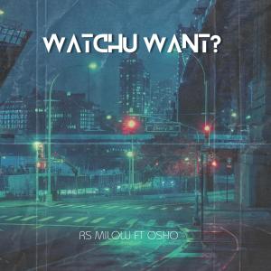 RS Milow的專輯Watchu Want? (feat. oSho) (Explicit)