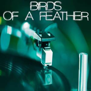 Vox Freaks的專輯Birds Of A Feather (Originally Performed by Billie Eilish) [Instrumental Version]