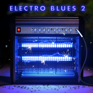 Various的专辑Electro Blues 2