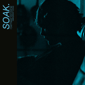 Album I Can't Make You Love Me / Immigrant Song from SOAK