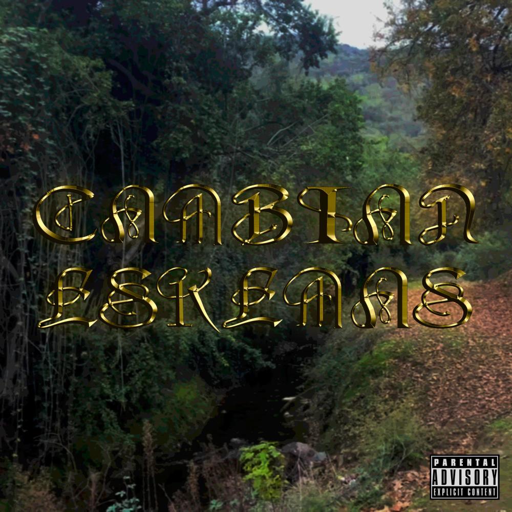 CAMBIAN ESKEMAS