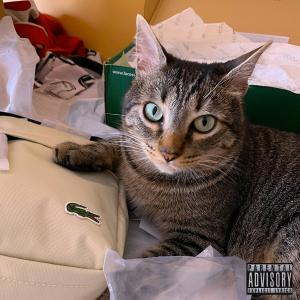 J. Muñoz的專輯DIMEDEKEVAL€ (Explicit)